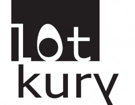 Lot kury